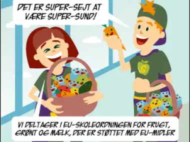 EU-skoleordningen